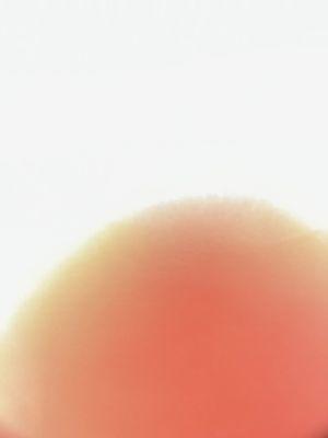 Plymouth Creek Athletic Club