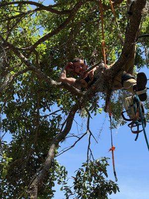 Joes lawn care and landscaping