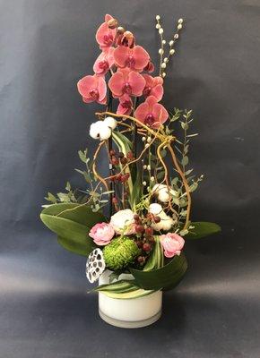 Decorated orchid plant