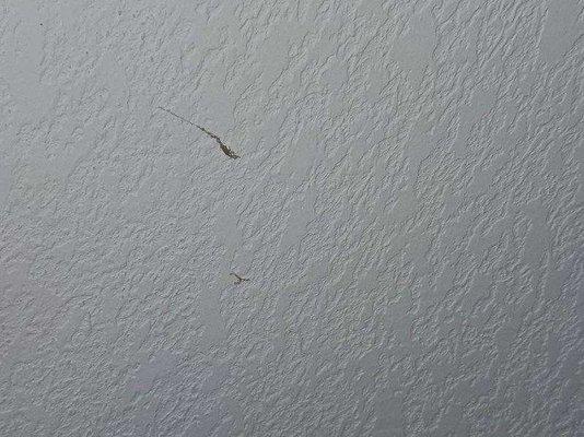 Down To Earth Cleaning