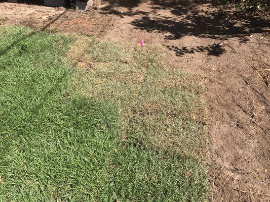 Webbs Landscaping and Tree Removal