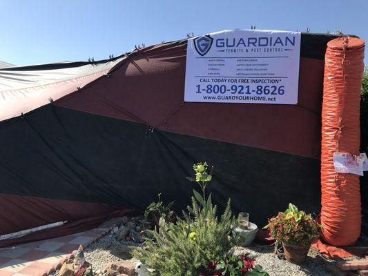 Guardian Termite and Pest Control