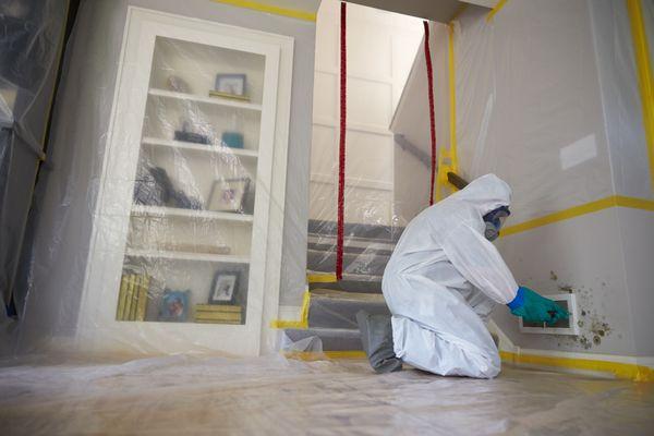 Comprehensive mold removal services for a healthier living environment. We handle mold issues in both residential and commercial spaces.