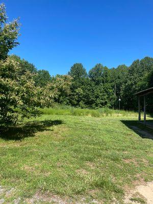 American Chestnut Land Trust