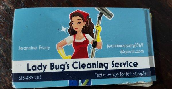 Lady Bug's Cleaning Service