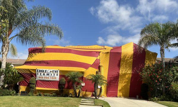 Termite Fumigation / tenting with a 5 year warranty San Clemente, CA 92673