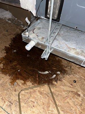 Leaked into our upstairs