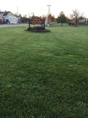Our Lady of the Sacred Heart Rmn Cthlc Chrch Rctry