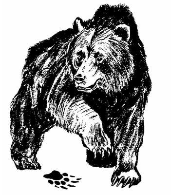 Kodiak DGS,Inc. Hang with the Best!