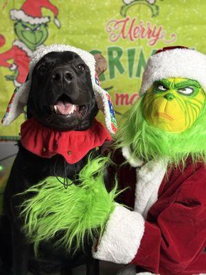 It's A Dogs Life Resort & Spa