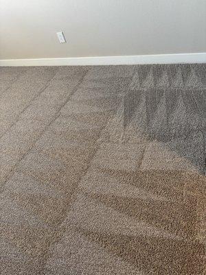 Alpha Seven Carpet Care