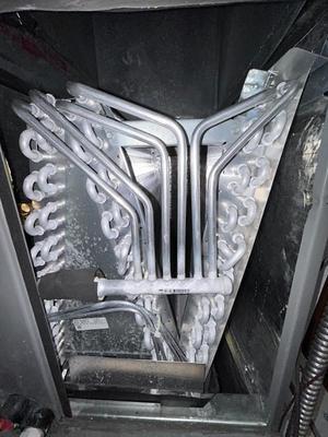 Royal Climate Solutions