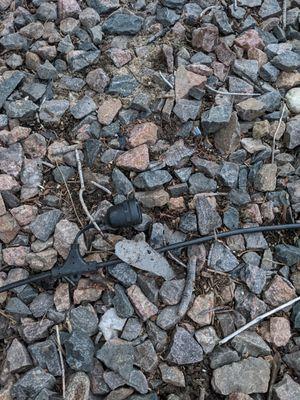 Environmental Tree Care