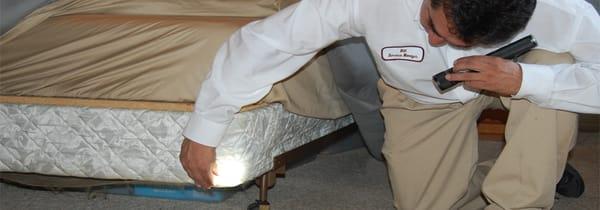 Charlotte Pest Control