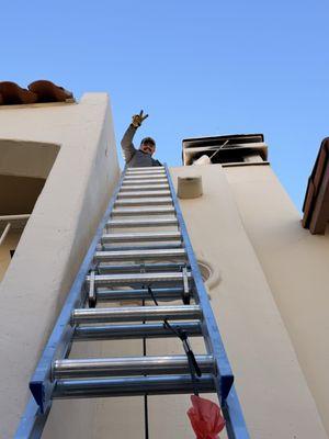 Urban Desert Pest Control