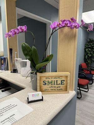 Elizabeth Gallegly, DDS - Northridge Family Dentistry