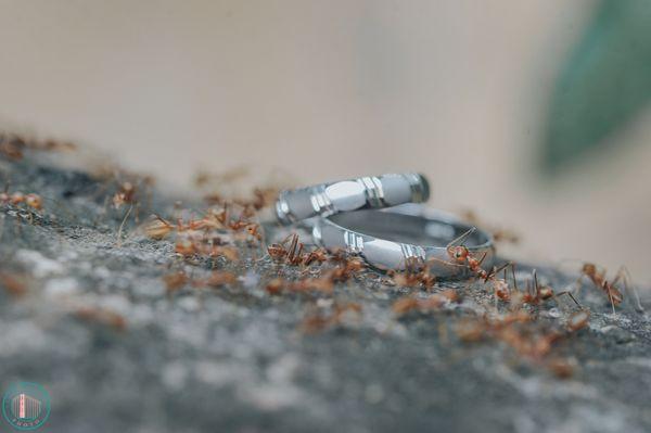 Kevin Martinez Photo