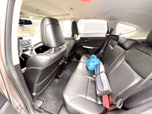 Another photo of my spotless back row