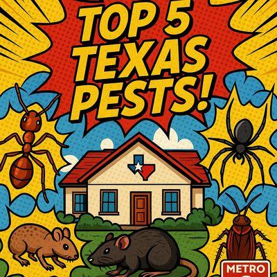 Metro One Pest Control