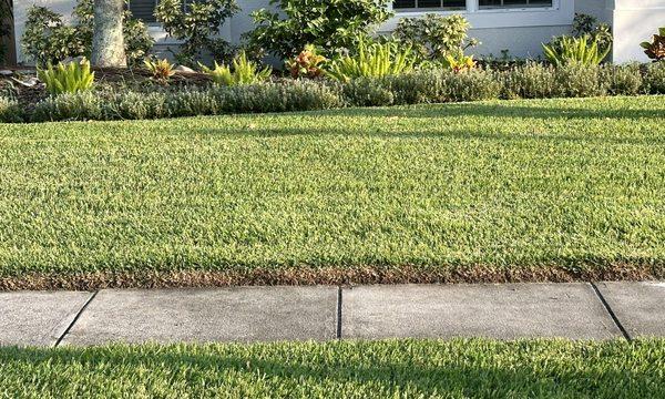 Mowasis Lawn Care Services