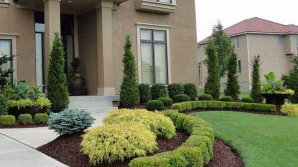 Elite Landscaping and Lawn Maintenance