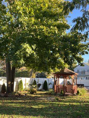 Shirley Blooming Flowers Daycare