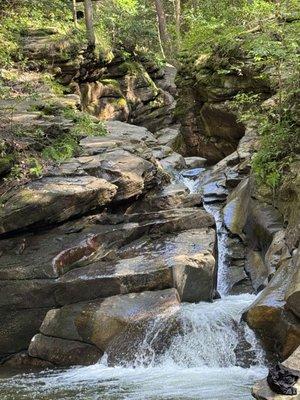 Nature portraits in the infusion rooms