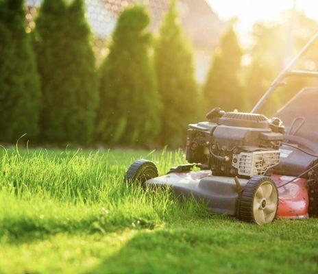 Three Dudes Lawncare