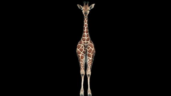 Kidzoo Childcare Center And Preschool