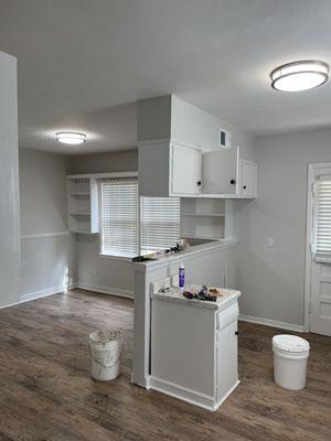 Ryan Spooner Painting