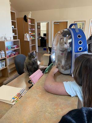 Milbradt Veterinary Hospital