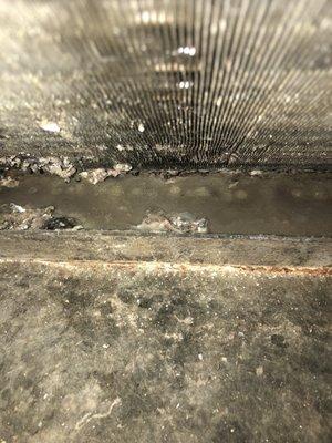 Carolina Property Management