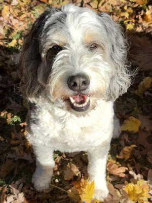 Axil after his groom