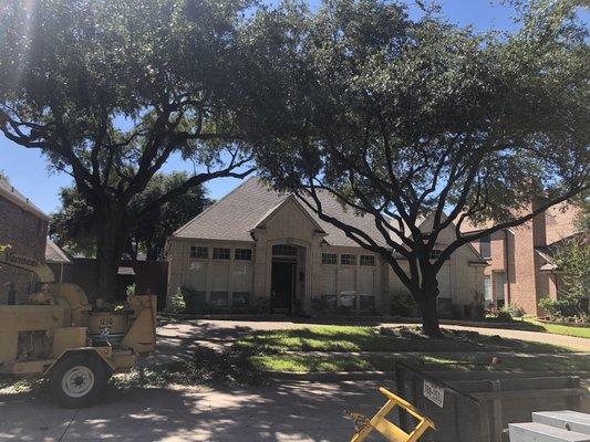 Carlitos Tree And Land Service