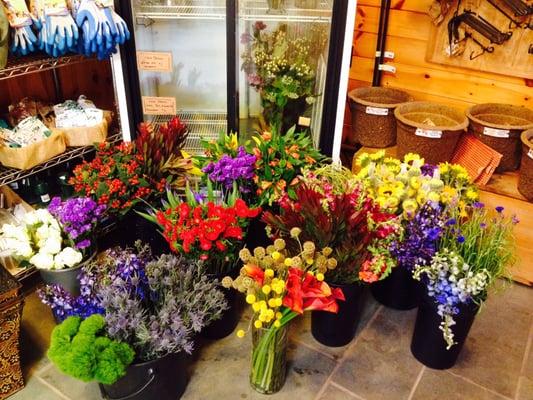 East Branch Organics