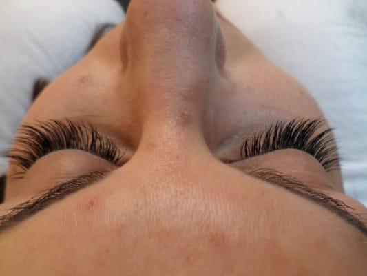 The Lash Boutique