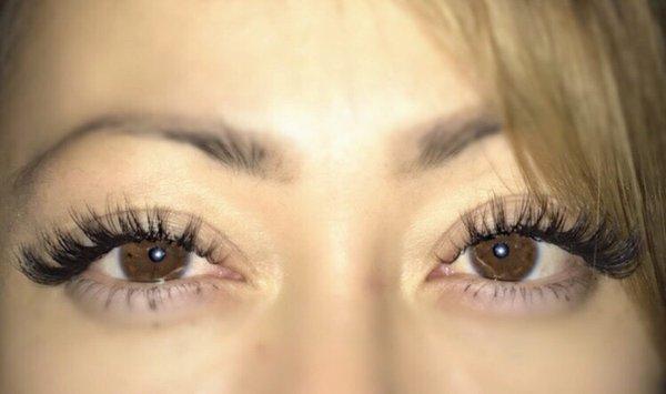 Lashd by Holly