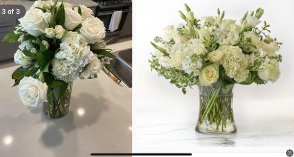 William Paul Floral Design