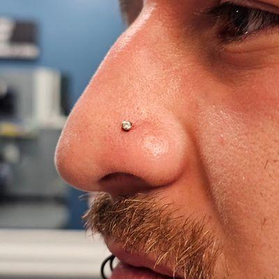 Modified Madness Tattoo