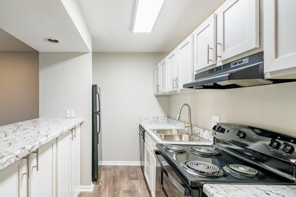 Kitchen with bar counter