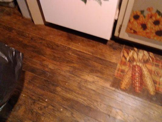 Redheads Do It Best Cleaning