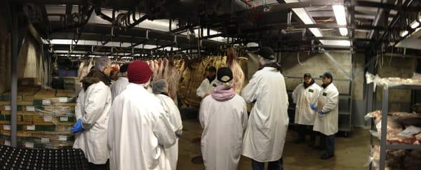 Mosner Family Brands