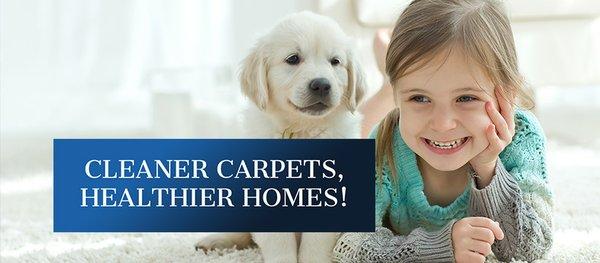 Dirty Dog Carpet Cleaning