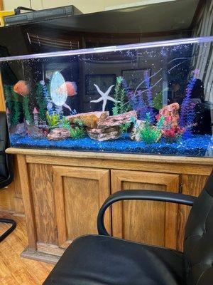 Great waiting room! Tons of animal life