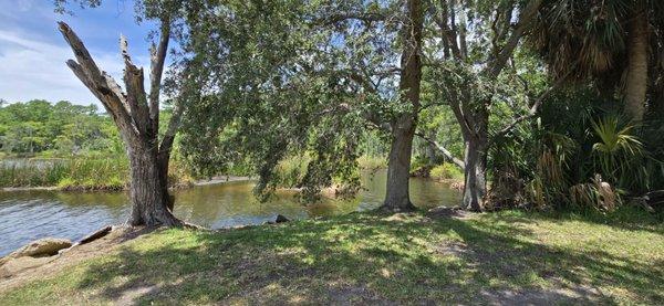 Nice area to relax by