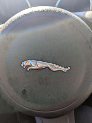 Premium for my daily