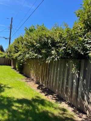 J.R's Yard Cleaning and Landscaping