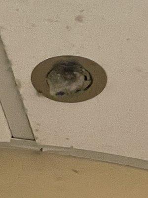 Jefferson Abington Hospital