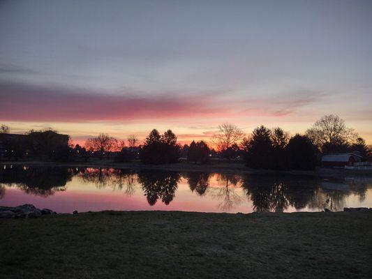 Overlooking the pond in the morning