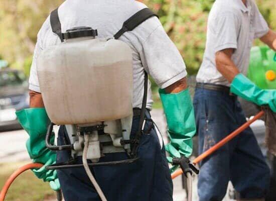 Shelbys Pest Control